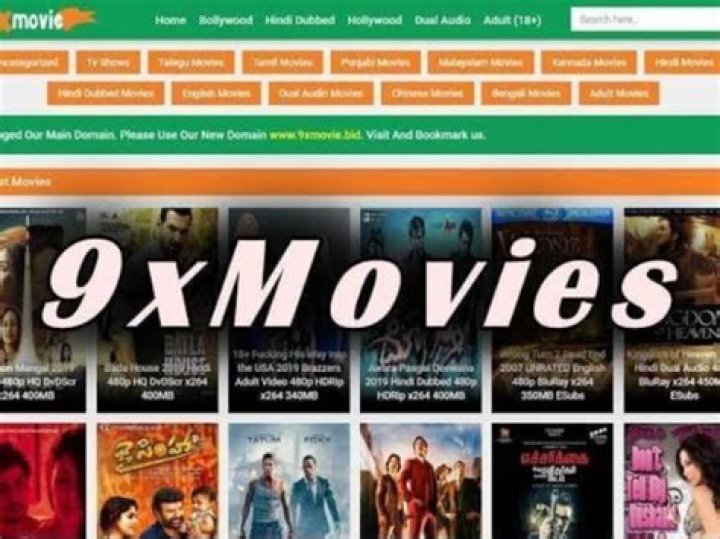 9xMovies Biz In: A Comprehensive Guide to Understanding the Platform and Its Implications