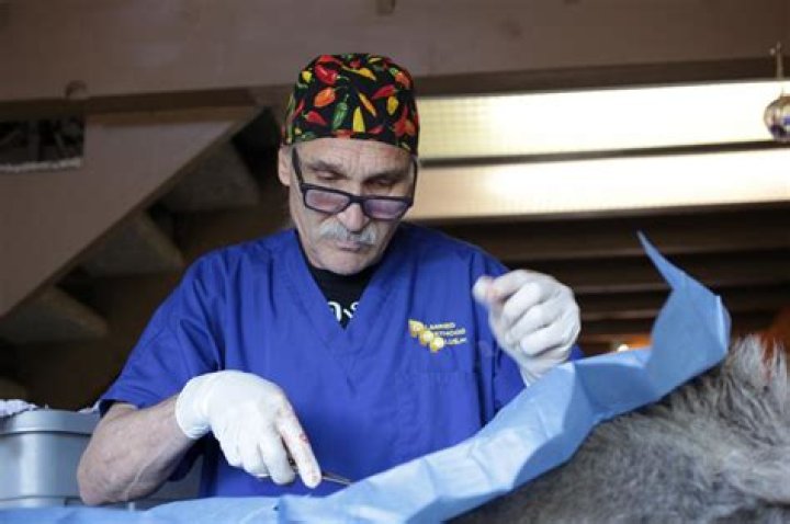 Dr. Jeff Young Age: Unveiling the Life and Career of the Renowned Veterinarian