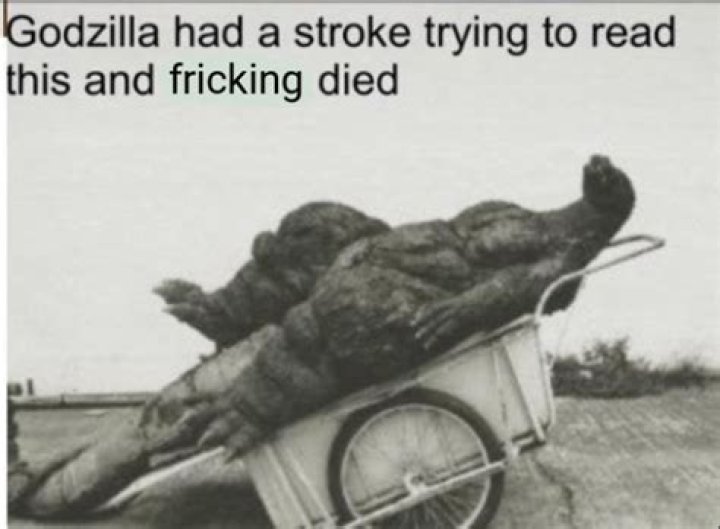 Godzilla Had a Stroke: The Untold Story of a Legendary Icon's Health Crisis