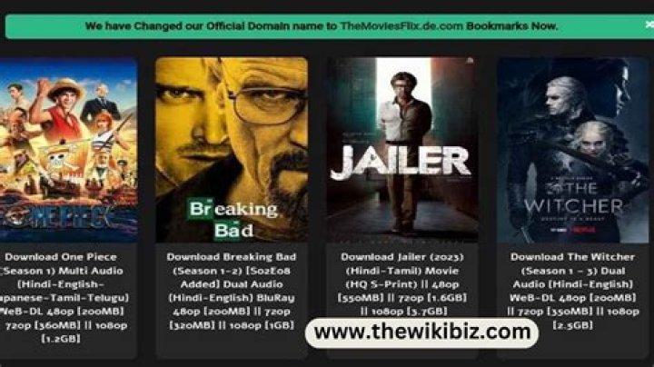 Moviesflix: The Ultimate Guide to Streaming Movies and TV Shows Safely