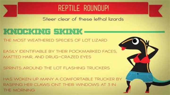 What is a Lot Lizard? The Ultimate Guide to Understanding These Unique Creatures